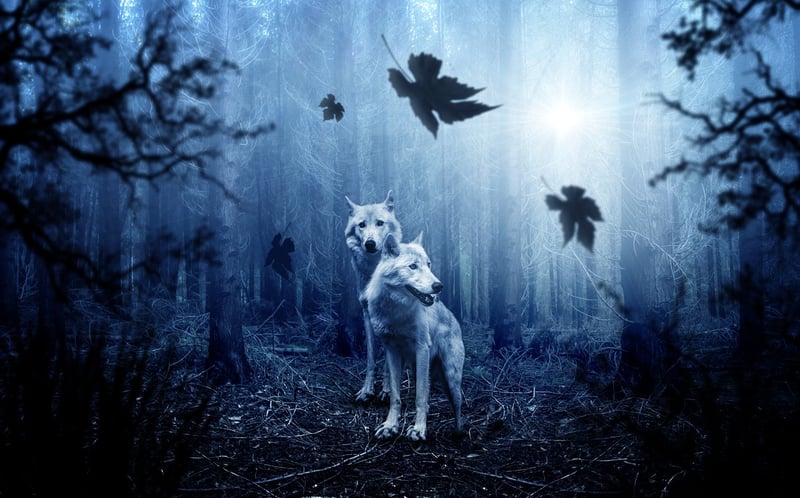 Mystic Moonlight