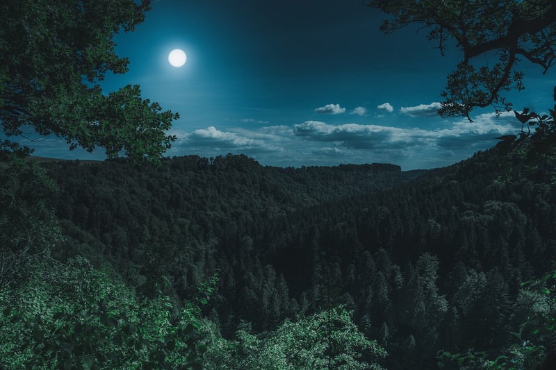 Mystic Moonlight Wedding Image
